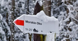 Ostry atak zimy. Mocno sypnęło śniegiem, droga zamknięta
