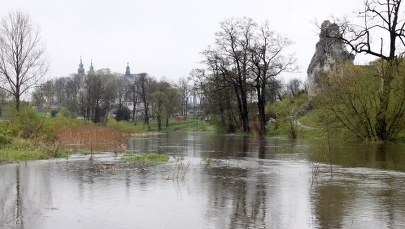 Ostrzeżenia dla siedmiu województw z powodu deszczu. Premier: Służby są w pogotowiu