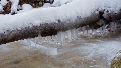 Ostrzeżenia hydrologiczne dla Lubelszczyzny. Rośnie poziom wód