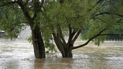 Ostrzeżenia IMGW: Burze, intensywny deszcz, a nawet grad