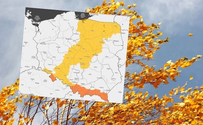 Ostrzeżenia pierwszego i drugiego stopnia przed silnym wiatrem /IMGW /RMF FM