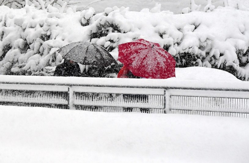 Ostrzeżenia przed intensywnymi opadami śniegu /CHRISTOF STACHE /AFP