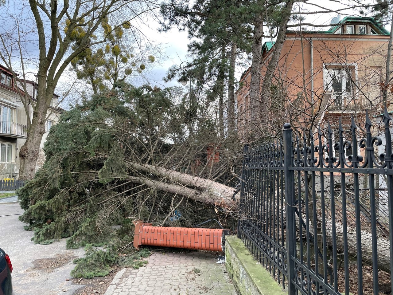 Aviso de viento fuerte para 14 provincias.  RCB ha enviado alertas