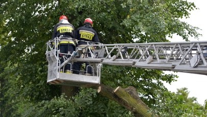 Ostrzeżenie IMGW: Będzie mocno wiało na południu Polski