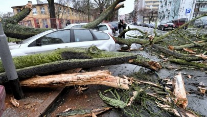 Ostrzeżenie IMGW. Uwaga na silny wiatr!