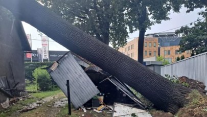 Ostrzeżenie trzeciego stopnia przed upałami. Uwaga na burze z gradem