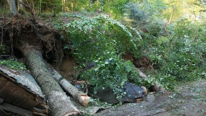 Osunięcia ziemi w Milówce