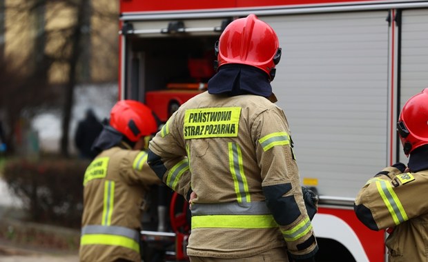 Osuwisko na Śląsku. Na miejscu pracowała grupa poszukiwacza z psami