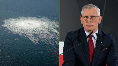 Oświadczenie Alternatywy dla Niemiec wywołało reakcję BBN-u. Chodzi o Nord Stream