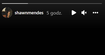 Oświadczenie na IG @shawnmendes /Instagram