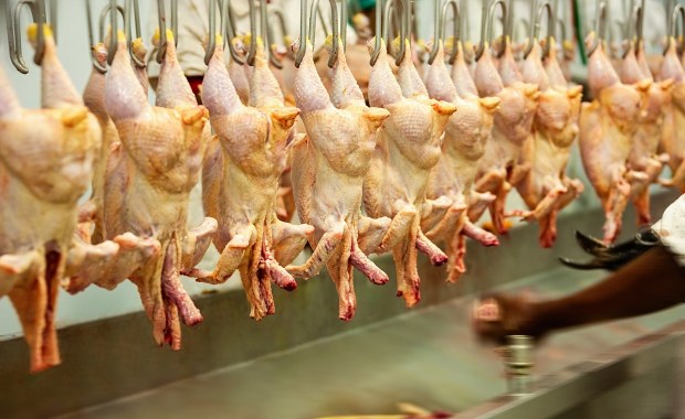 Oszukani Kolumbijczycy walczą o zaległe wypłaty w Polsce