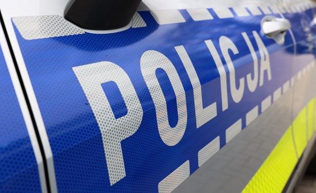 Oszustwa finansowe na wielką skalę. Członkowie gangu w areszcie