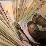 Oszustwa nigeryjskie. Prokuratura odzyskała prawie pół mln zł i blisko 146 tys. euro 