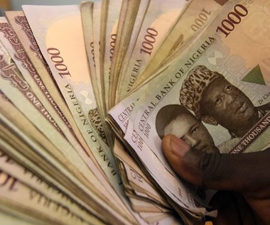 Oszustwa nigeryjskie. Prokuratura odzyskała prawie pół mln zł i blisko 146 tys. euro 