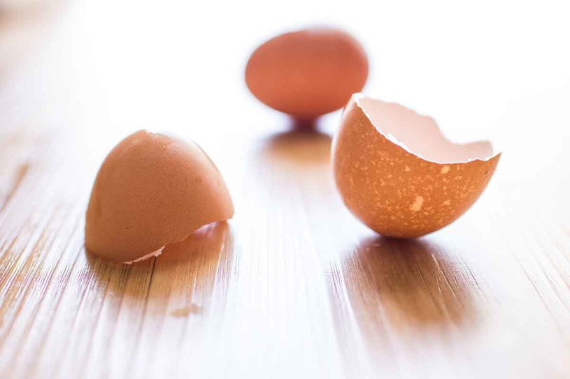 Oto metoda naszych babć: Czyste sko- rupki jajek włóż  do białego płóciennego woreczka  i mocno go zawiąż. Włóż do bębna pral- ki razem z białą bielizną stołową. Pierz  jak zwykle. /123RF/PICSEL