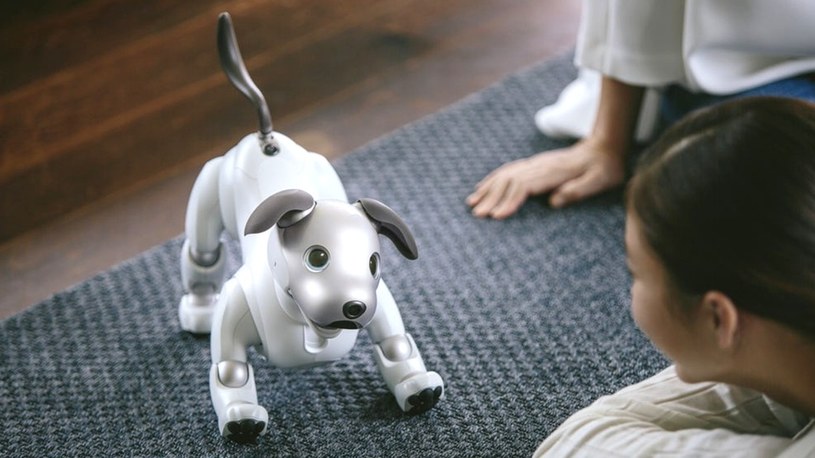 Oto najbardziej inteligentny robo-pies na świecie. „Obsłuży całe mieszkanie” /Geekweek