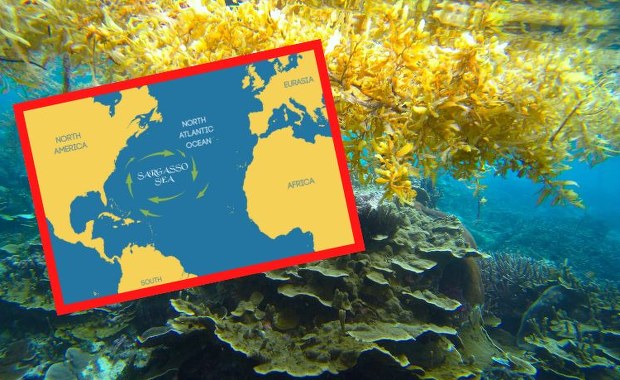 Oto najbardziej tajemniczy akwen świata. Odkryj morze, które nie ma brzegów