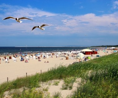 Oto najczystsze plaże w Polsce. Otrzymały prestiżowy certyfikat