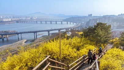 Oto najlepsze miasta do zwiedzania na piechotę. Jedno znajduje się w Polsce