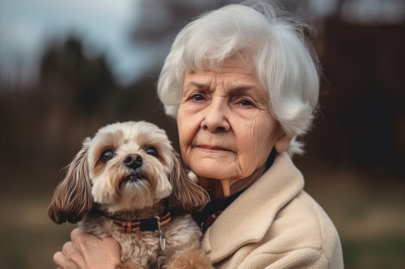 Oto najlepsze rasy psów dla seniorów. Małe, wdzięczne i bardzo oddane