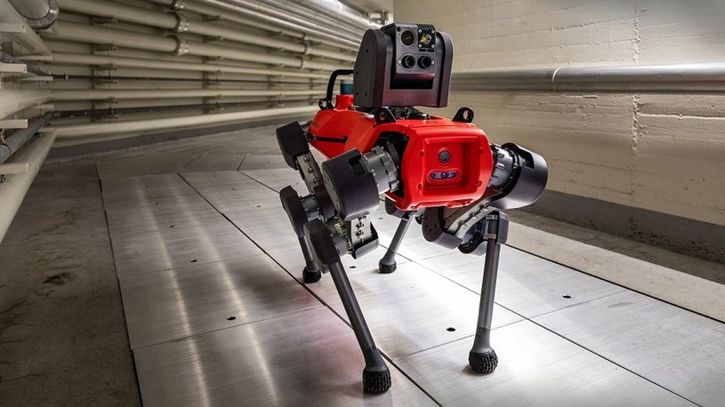 Oto najnowsze wcielenie robota ANYmal. Zobacz w akcji robo-psa ze Szwajcarii /Geekweek