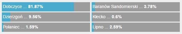 Oto szczegółowe wyniki głosowania: Dobczyce zdeklasowały konkurencję! /RMF 24 /Zrzut ekranu