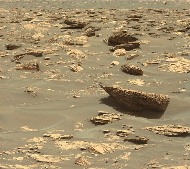 Otoczenie łazika Curiosity, 5 czerwca 2017 roku /NASA/JPL-Caltech/MSSS /materiały prasowe