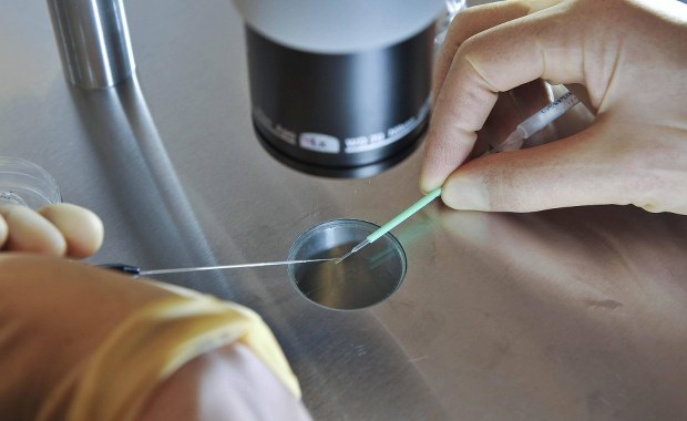 Otworzono pierwszy na świecie bank nasienia dla nosicieli HIV