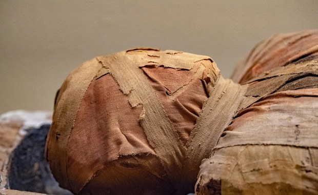 Otworzyli sarkofag po 2 tysiącach lat. To, co znaleźli w środku, przeszło najśmielsze oczekiwania