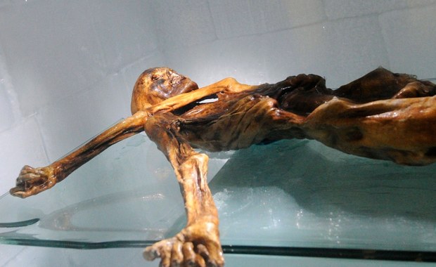 "Ötzi" był łysy, miał ciemną skórę i "tureckich" przodków 