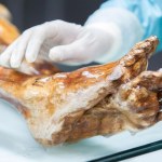 Iceman Ötzi nie jest "martwy". Odkryli w nim aktywne mikroby sprzed 5300 lat