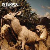 Interpol: -Our Love To Admire