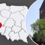 Owady zamiast złota. Niezwykłe odkrycie w grobie dziecka sprzed 2,5 tys. lat