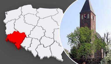 Owady zamiast złota. Niezwykłe odkrycie w grobie dziecka sprzed 2,5 tys. lat