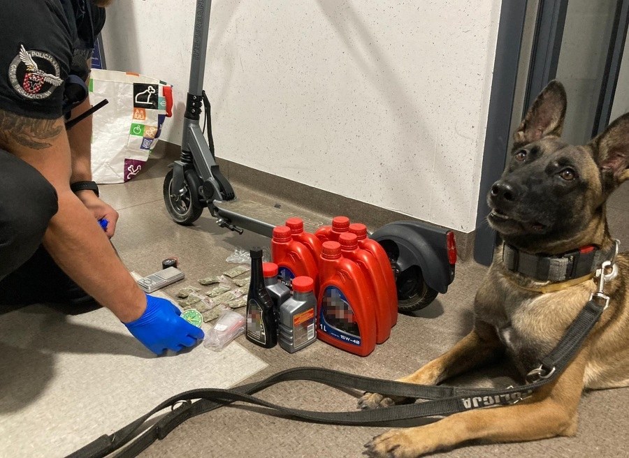 Owczarek belgijski „Misia” wskazał miejsce ukrycia części dopalaczy /Policja