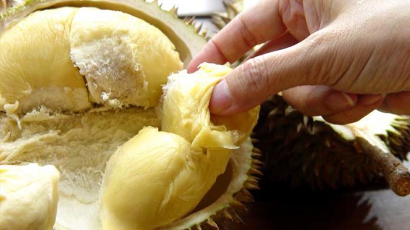 owoc duriana wlaściwości /© Photogenica