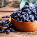 jagody właściwości Owoc wiecznej młodości dla seniorów. Poprawia pamięć i obniża ciśnienie