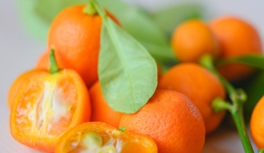 Owoc z dedykacją dla cukrzyka. Można jeść ze skórką, świetnie obniża cholesterol i pomaga w odchudzaniu