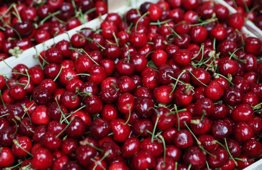 Owoce dostępne na Warszawskim Rolno-Spożywczym Rynku Hurtowym w Broniszach /Leszek Szymański /PAP