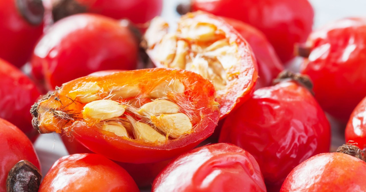 Owoce dzikiej róży są dobrym wsparciem dla układu krążenia /marketlan /123RF/PICSEL