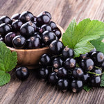 Owoce i liście czarnej porzeczki: Co zawierają? Jak je wykorzystać? 