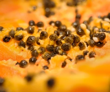 Owoce mają mnóstwo witamin, wspierają trawienie i obniżają cholesterol. Mało kto wie, że pestki też można wykorzystać   