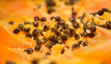 Owoce mają mnóstwo witamin, wspierają trawienie i obniżają cholesterol. Mało kto wie, że pestki też można wykorzystać   