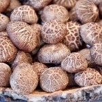 Owoce nie dostarczają cennej witaminy. Sięgaj po pieczarki, jajka i jogurty