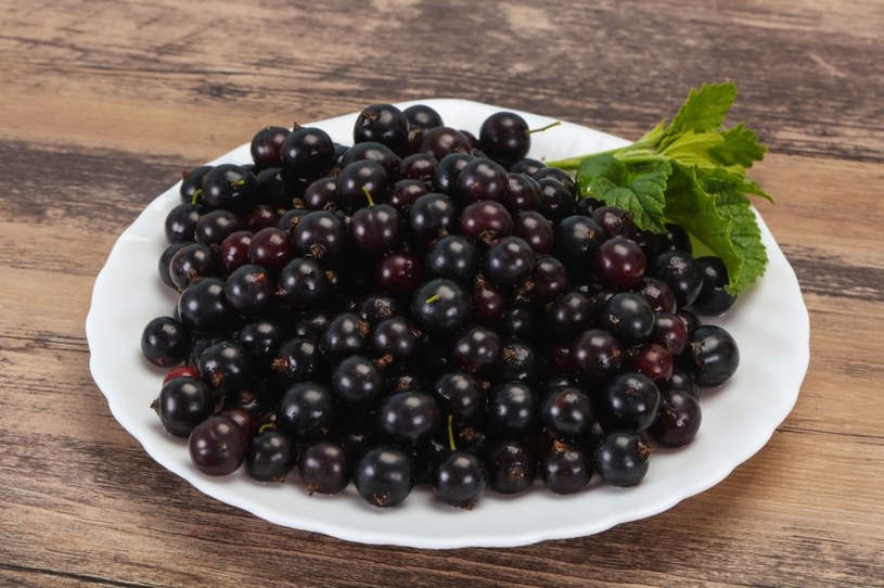 Owoce z czarnej porzeczki należą do jednych z najzdrowszych na świecie /123RF/PICSEL