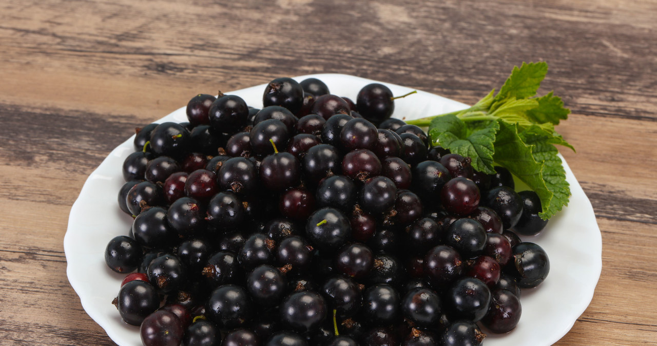Owoce z czarnej porzeczki należą do jednych z najzdrowszych na świecie /123RF/PICSEL