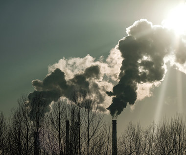OZE i atom mogą zastąpić węgiel szybciej, niż przewiduje rząd