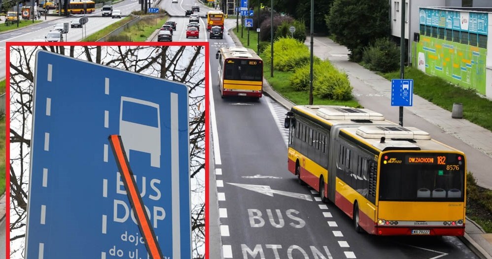 Oznaczenia DOP spotykamy na buspasach - na co wskazują? / fot.  Adam Burakowski/REPORTER/Piotr Molecki/East News /