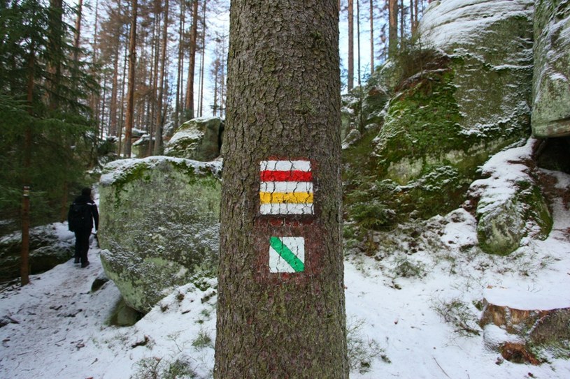 Oznakowanie szlaków pieszych oraz ścieżki przyrodniczej w Parku Narodowym Gór Stołowych /Marcin Rutkiewicz /Reporter