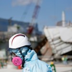Pacyfik się odradza po katastrofie w Fukushimie